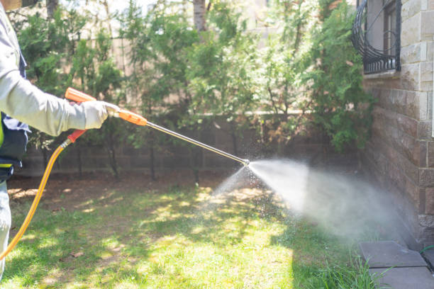 Best Best Pest Control Near Me  in Sabetha, KS