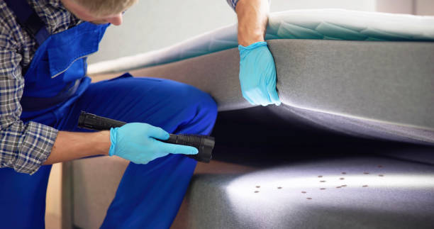Best Exterminator Services  in Sabetha, KS