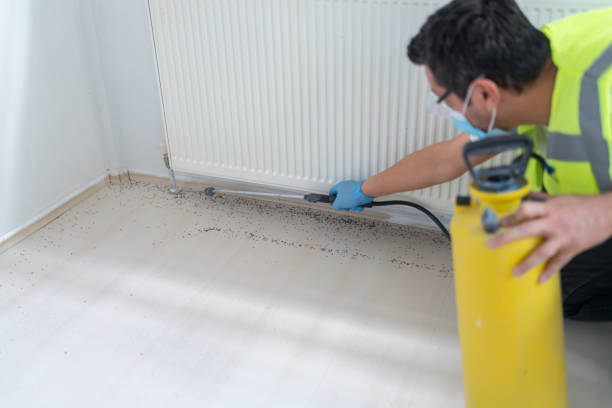 Best Cockroach Control Services  in Sabetha, KS