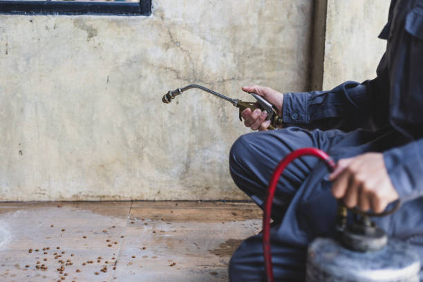 Best Wasp Removal Services  in Sabetha, KS